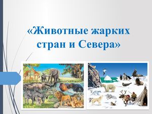 Животные Севера и жарких стран