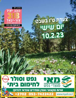 עיתון כוכב יאיר צור יגאל גליון 318