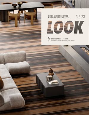 Concept Surfaces 3.3.23 Launch