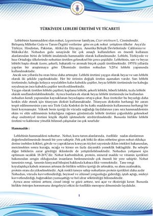 Leblebi ÜRetim Raporu