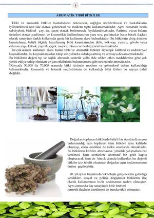 Tibbi̇ Ve Aromati̇k Bi̇tki̇ler Rapor