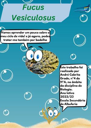 Ao Contrário Da Maior Parte Das Algas, Eu Tenho Uma Meiose Pré Gamética