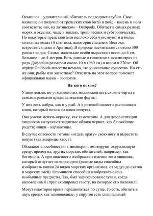 Текст и тесты с рисунками осьминог.