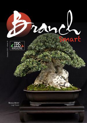 Branch Gennaio 2023 vers. Smart