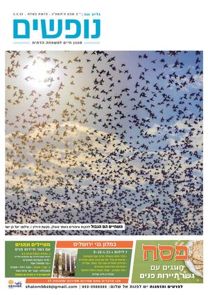 נופים&נופשים גיליון מס׳ 316 | י״ב שבט ה’תשפ”ג | פרשת בשלח | 3.2.23