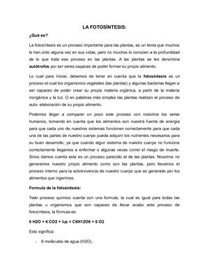 La Fotosíntesis 3 Páginas