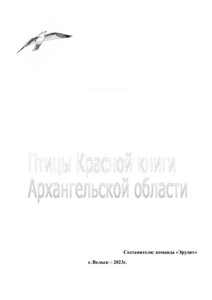 Птицы Красной книги  Архангельской области