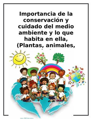 La Importancia Y Cuidado Del Medio Ambiente