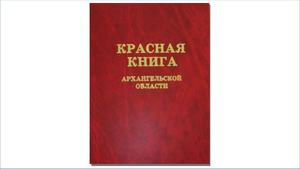 ЗАДАНИЕ №1 ОТ КОМАНДЫ СТРАЖИ ЧИСТОТЫ