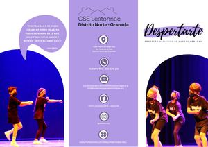 Tríptico Proyecto Despertarte