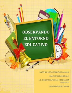 Observando El Entorno Educativo