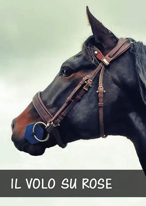 Il Volo Su Rose