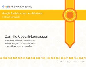Google Analytics Débutant Certification