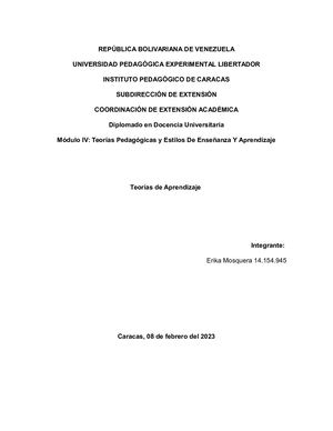 Teorías de Aprendizaje