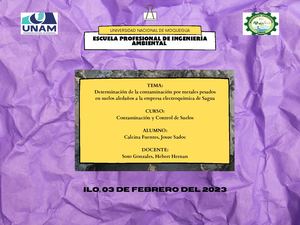 Mapa Conceptual Determinación De La Contaminación Por Metales Pesados En Suelos Aledaños A La Empresa Electroquímica De Sagua