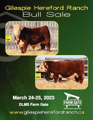 Gillespie Hereford Ranch Bull Sale