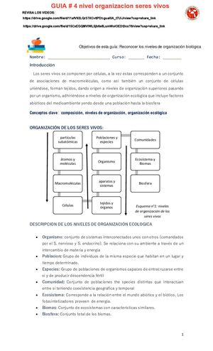 Guia # 4 Organizacion De Los Seres Vivos
