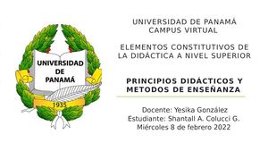 Principios Didácticos Y Metodos De Enseñanza Shantall Colucci