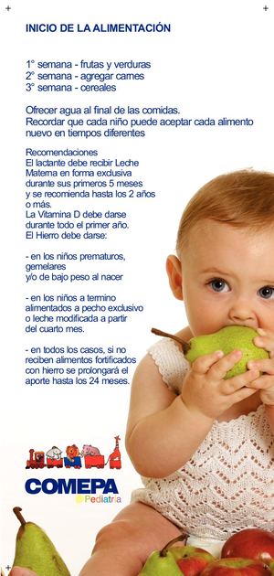Alimentacion Bebes Recomentaciones (1) (6)