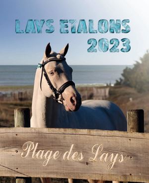 Lays étalons 2023