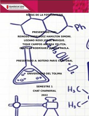 Rutas De La Fotosíntesis