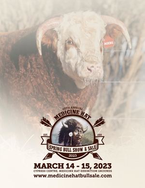 Medicine Hat Bull Sale 2023