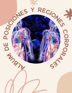 Álbum de posiciones y regiones corporales