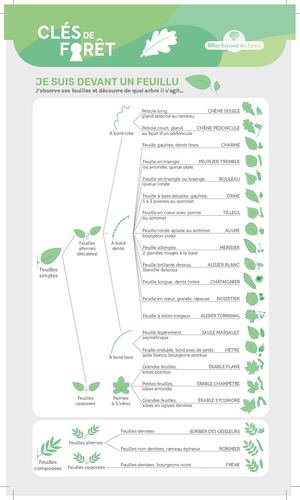 Onf Cles Feuillus Resineux 2017