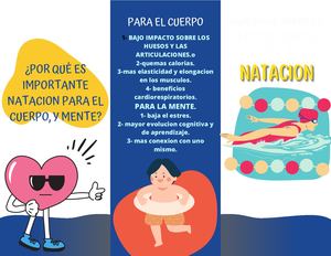 Triptico Trabajo Final