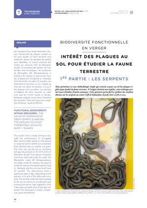 (ARBO-30)-  Plaques Au Sol Partie 1 Reptiles Novembre 2013