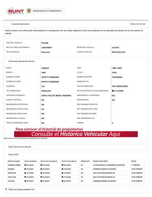 Consulta Ciudadano Runt