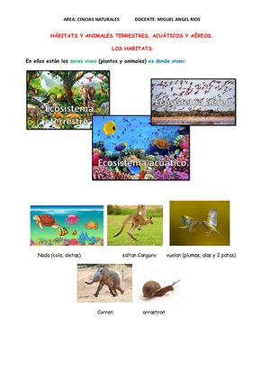 HÁBITATS Y ANIMALES TERRESTRES