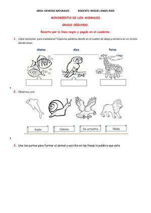 MOVIMIENTO DE LOS ANIMALES