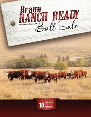 2023 Braun Ranch Ready Bull Sale