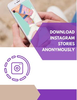 Download Instagram Stories Anonymously