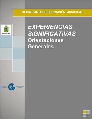 Experiencias Significativas Orientaciones Generales