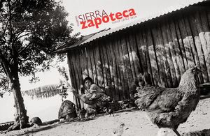 Sierra Zapoteca Mujeres Jorge Lépez Vela Esru Azachis