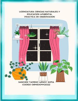 Cartilla Calameo Observacion