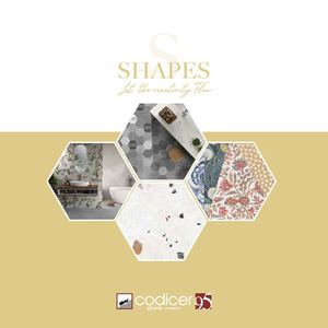 33 CODICER Shapes 2023