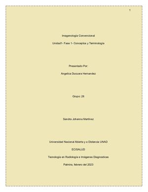 Fase 1 Angelica Ducuara