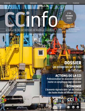 CCI INFO N°294