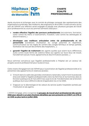 Charte Egalité Professionnelle Cte Décembre 21