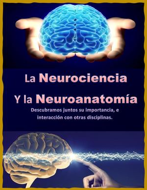 Revista De Neurociencia