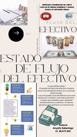 Revistas Digital Sobre El Estado de Flujo del Efectivo