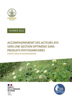 Rapport Accompagnement Jevi Def