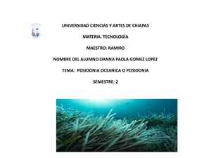 Posidonia Oceanica
