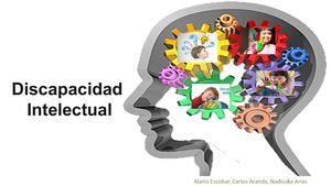 PPT Discapacidad Intelectual