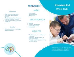 Tríptico Discapacidad Intelectual