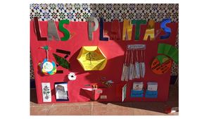 Nuestro Lapbook Plantas