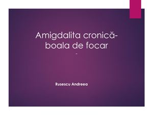 Activitate Independentă 2 Rusescu Andreea